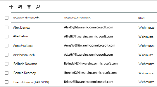 Przykład wyświetlania użytkowników i grup w Centrum administracyjne platformy Microsoft 365.