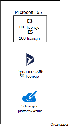 Przykład wielu licencji w ramach subskrypcji dla ofert firmy Microsoft opartych na chmurze SaaS.