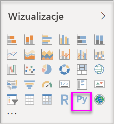 Zrzut ekranu przedstawiający opcję języka Python w obszarze Wizualizacje.