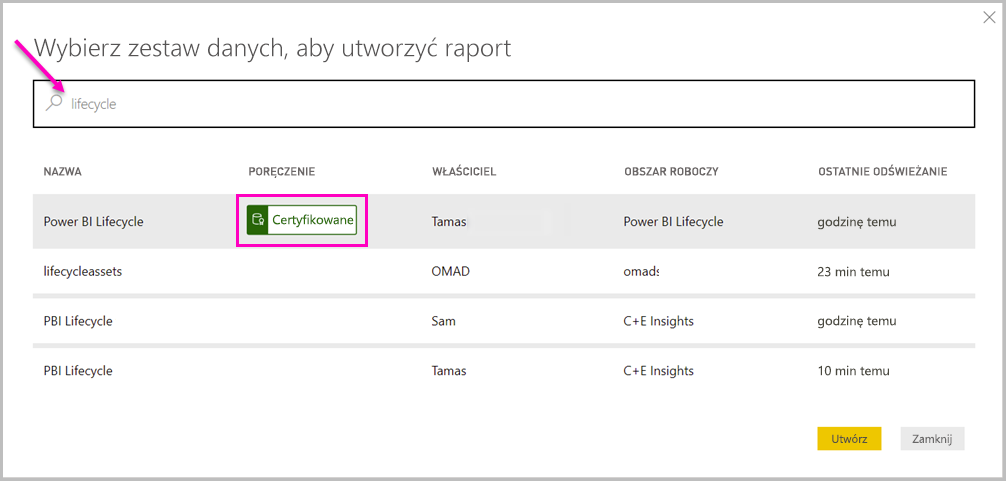 Zrzut ekranu przedstawiający listę dostępnych modeli semantycznych.