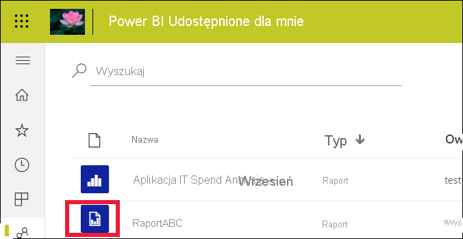 Zrzut ekranu przedstawiający listę raportów z jednym raportem standardowym i jednym raportem podzielonym na strony.