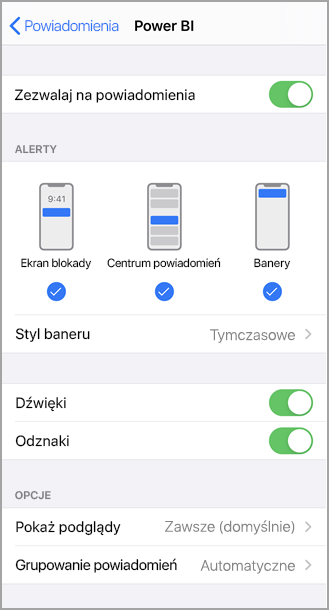 Zrzut ekranu przedstawia ekran urządzenia iPhone zatytułowany Power BI, na którym można zezwalać na powiadomienia i zarządzać nimi.