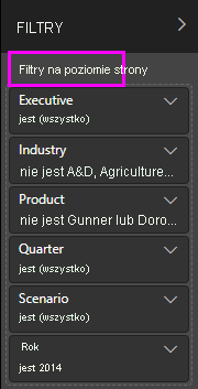 Zrzut ekranu przedstawia filtry na poziomie strony.