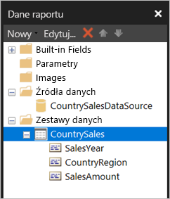 Zrzut ekranu przedstawiający zestawy danych w okienku Dane raportu.