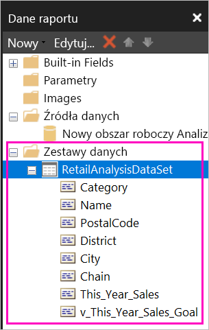 Zrzut ekranu przedstawiający pola wymienione w zestawie danych w okienku Dane raportu.