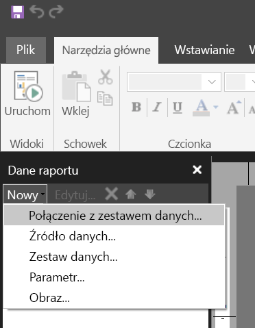 Zrzut ekranu przedstawiający nowy zestaw danych w okienku Dane raportu.