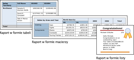 Zrzut ekranu przedstawiający tabelę, macierz i raporty listy programu Report Builder.