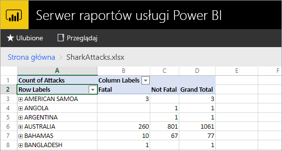 Excel reports viewed from the report server web portal