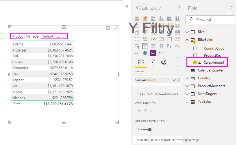 Zrzut ekranu przedstawiający okienko Pola z wyróżnioną wartością SalesAmount i wyświetloną wizualizacją.