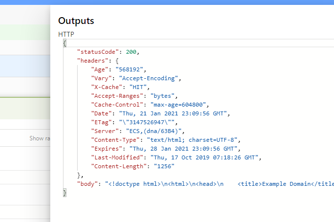 Raw inputs and outputs pane.