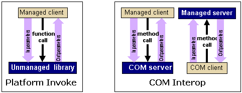 Platform invoke