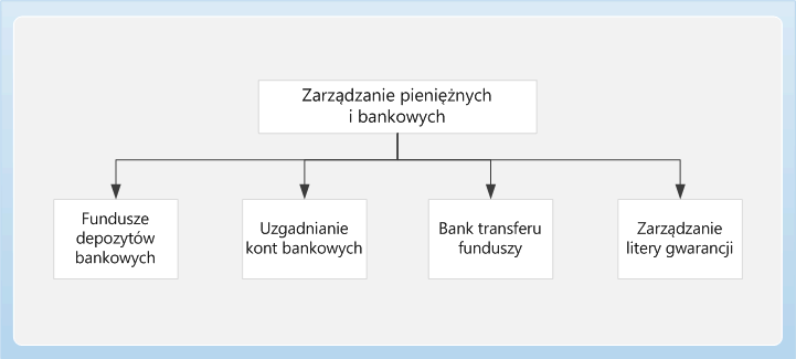 Cash and bank management Business Process