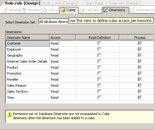 Dimensions tab of Role Designer