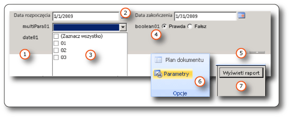 Parametry na pasku narzędzi podglądu raportów