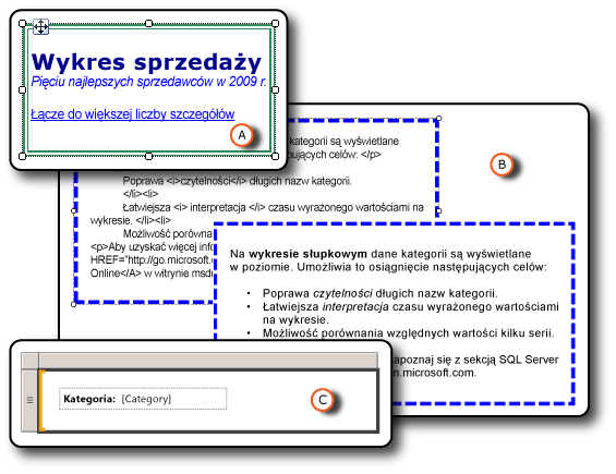 Pola tekstowe z różnym formatowaniem