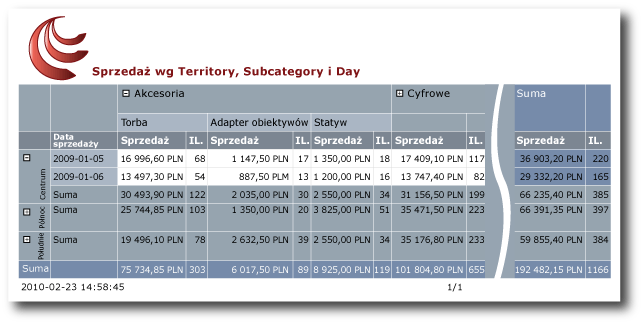 Raport wyświetlający dane w macierzy