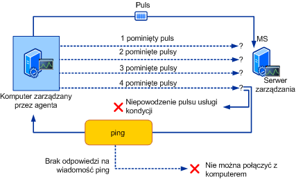 Obraz procesu pulsu