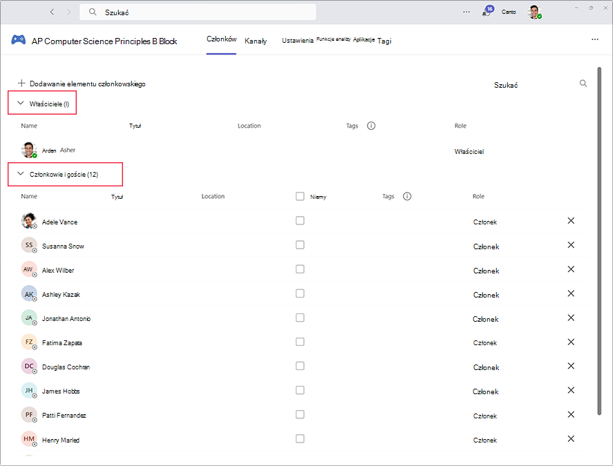 Zrzut ekranu przedstawiający obszar do zarządzania właścicielami i członkami w usłudze Microsoft Teams.