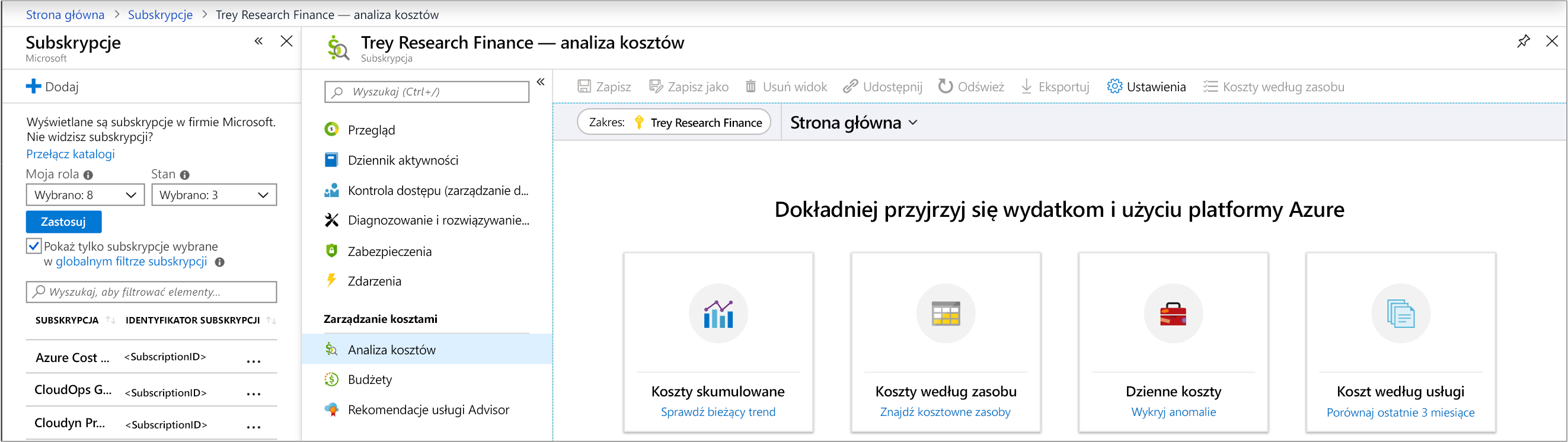 Zrzut ekranu przedstawiający witrynę Azure Portal po przejściu do panelu Analiza kosztów subskrypcji.