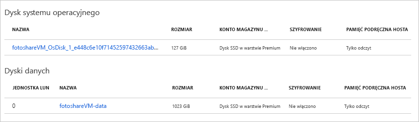 Screenshot of our OS and data disks, both set to Read-only caching.