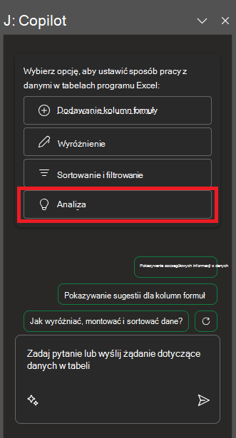 Zrzut ekranu przedstawiający okienko funkcji Copilot w programie Excel po pierwszym otwarciu.