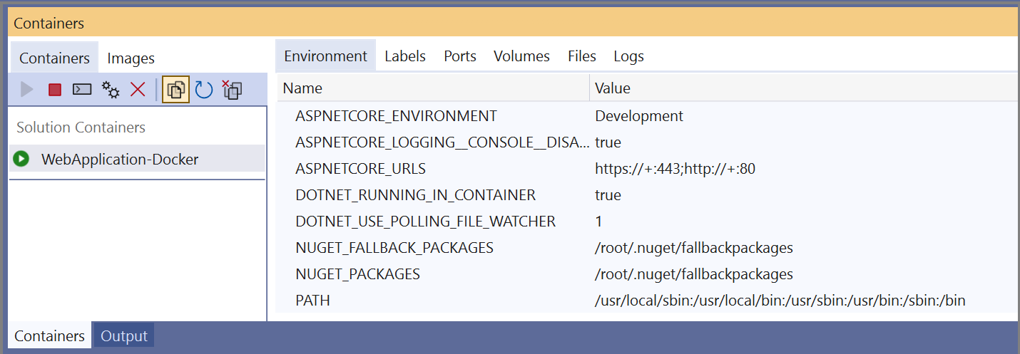 Zrzut ekranu przedstawiający okno Kontenery w programie Visual Studio z kontenerem wybranym w okienku po lewej stronie i kartą Środowisko wybraną w okienku po prawej stronie.