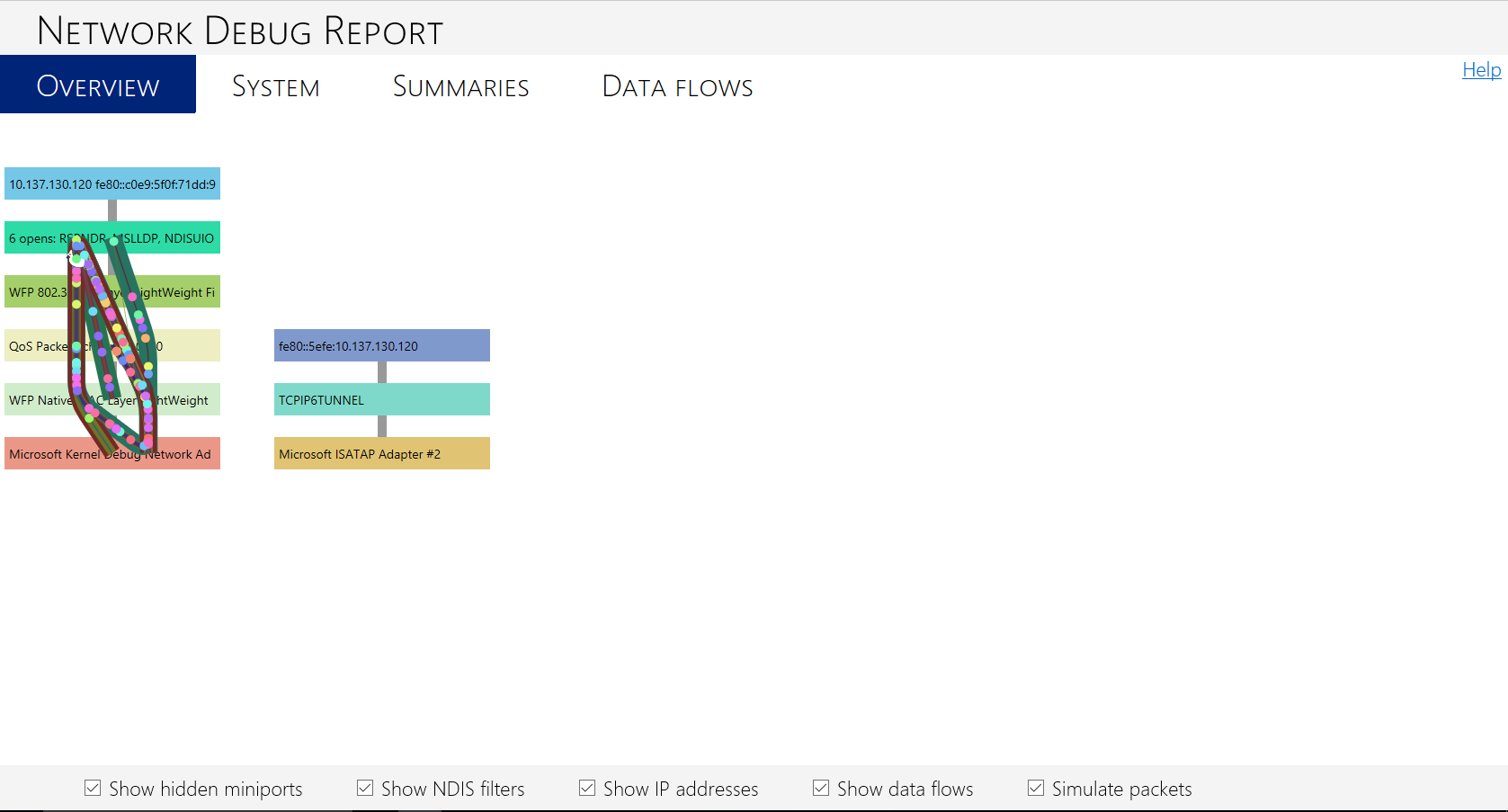 Screenshot of a network debug report generated from an active system.