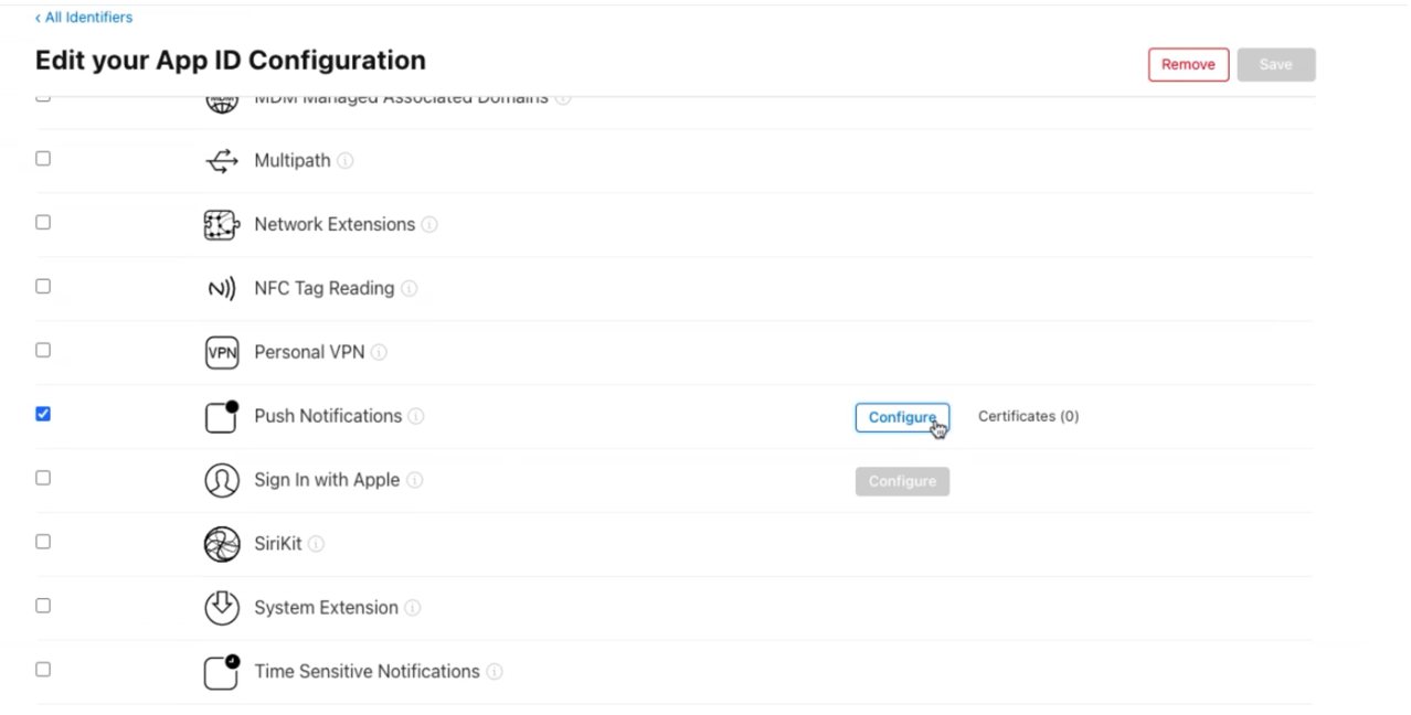 Captura de tela que mostra as opções para editar uma configuração de ID do aplicativo.