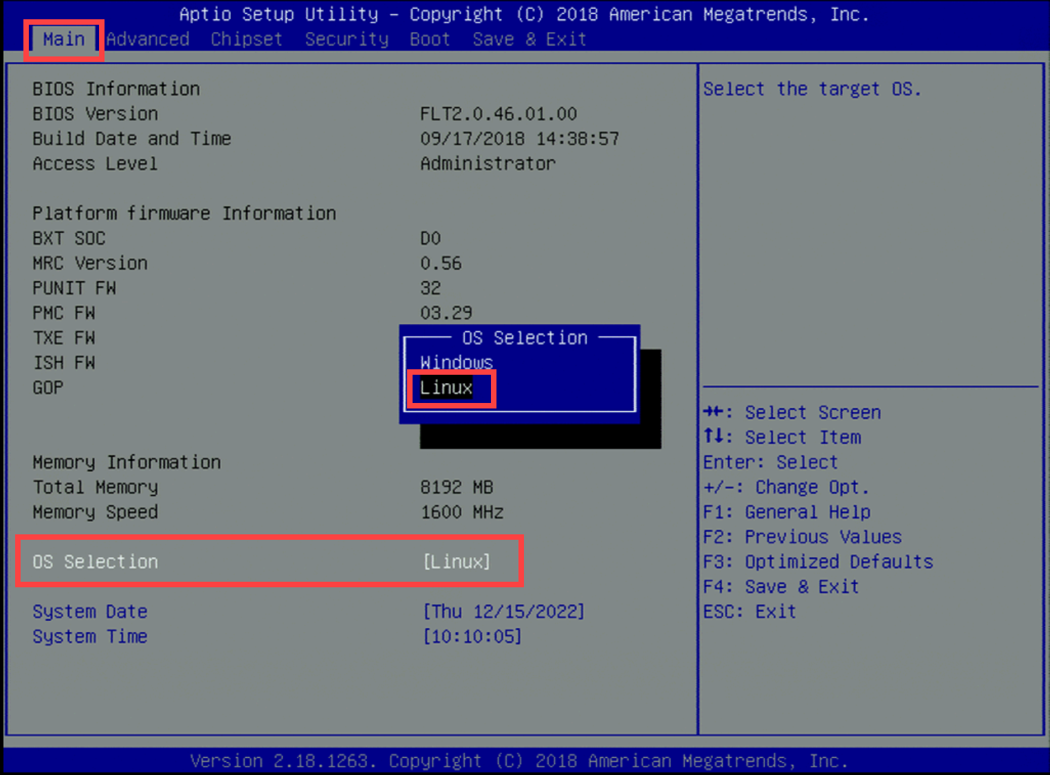 Captura de tela da configuração do SO como Linux no YS-FIT2.