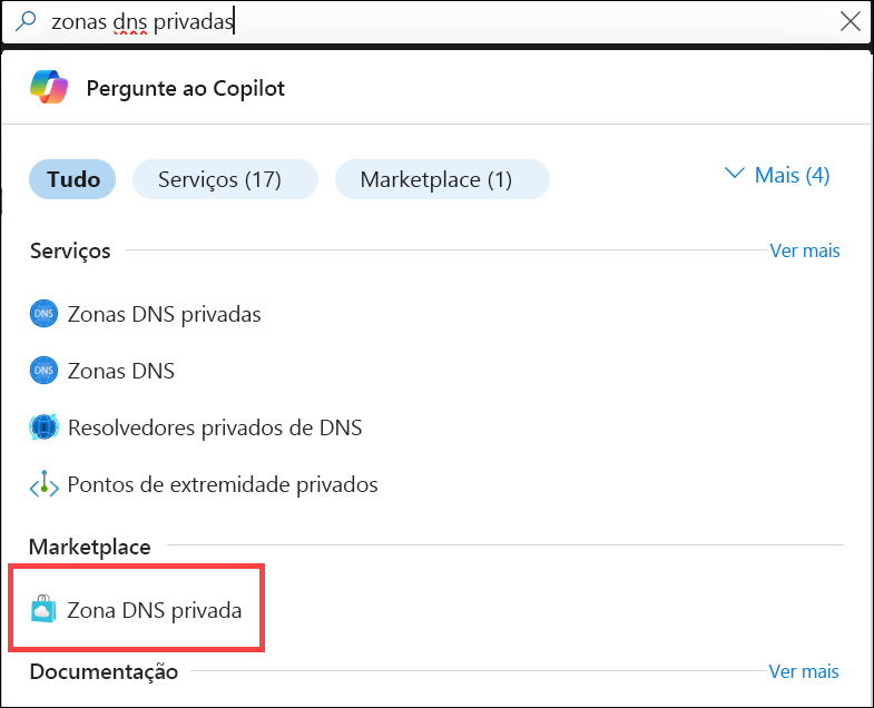 Captura de tela da pesquisa de zonas DNS privadas.