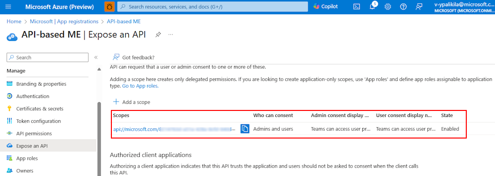 Captura de ecrã a mostrar um exemplo do âmbito adicionado à aplicação no portal do Azure.