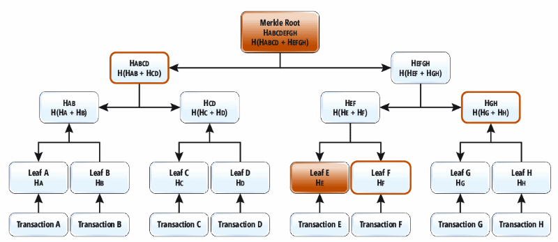 Uma árvore de Merkle é um tipo de árvore de hash binária que produz um hash da raiz de Merkle; essa estrutura de dados pode adicionar nós folha de modo eficiente e calcular uma nova raiz de Merkle sem precisar de um recálculo completo