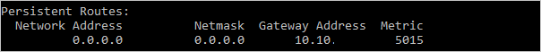 A rota adicionada é mostrada como uma rota persistente com o endereço de gateway 10.10.11.1 e a métrica 5015.