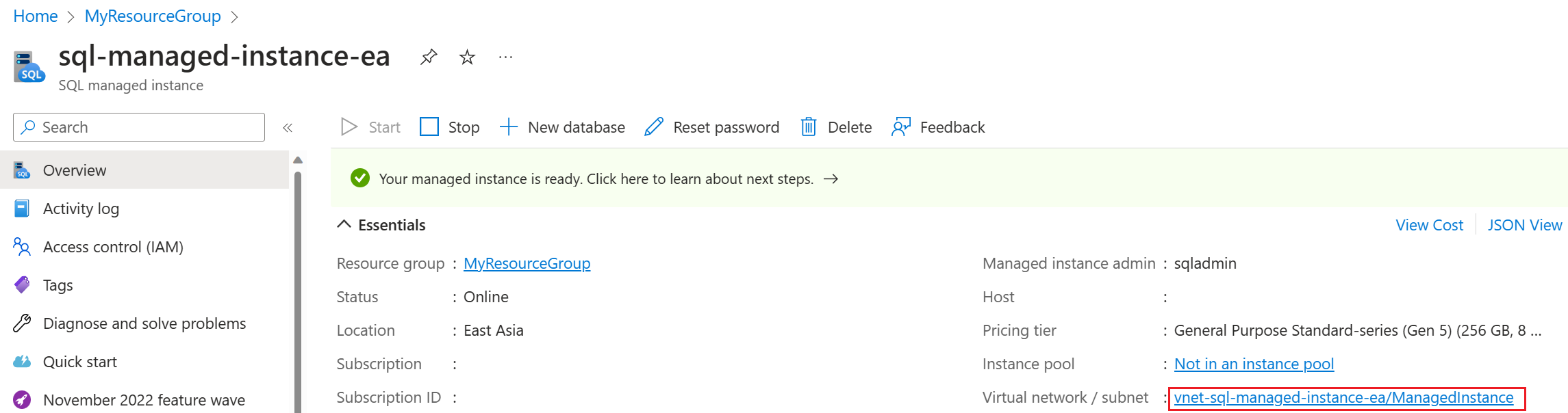 Captura de tela da página Visão geral da instância gerenciada de SQL do portal do Azure, com a sub-rede selecionada.