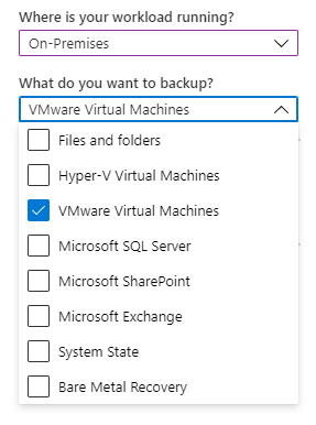 Captura de tela mostrando as opções do local em que sua carga de trabalho é executada e do que se deve fazer backup.