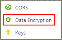 Captura de tela da opção Criptografia de Dados no menu de navegação do recurso.