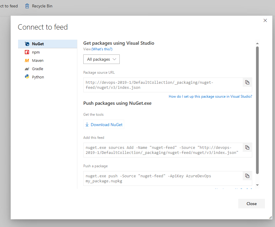 Captura de tela que mostra instruções na tela para configurar um projeto NuGet em Azure DevOps Server 2019.