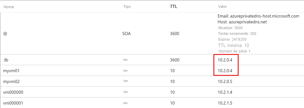 Captura de tela de um registro DNS registrado automaticamente.