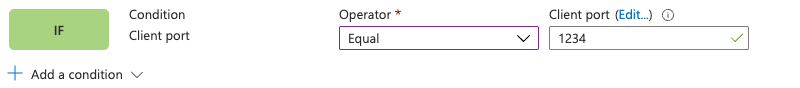 Captura de tela do portal mostrando a condição de correspondência da porta de cliente.