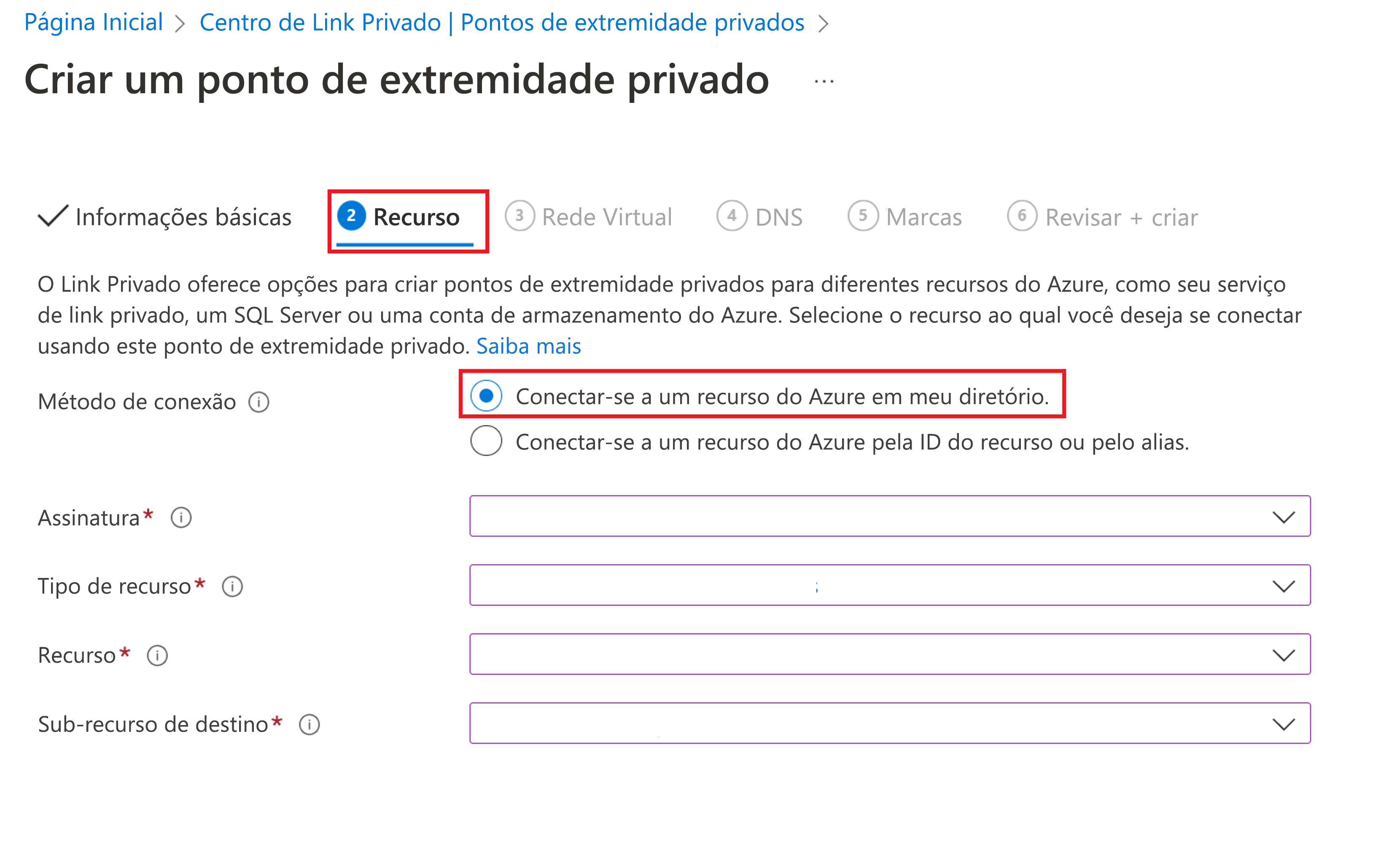 Captura de tela que mostra a guia Recurso para vinculação a um ponto de extremidade privado.