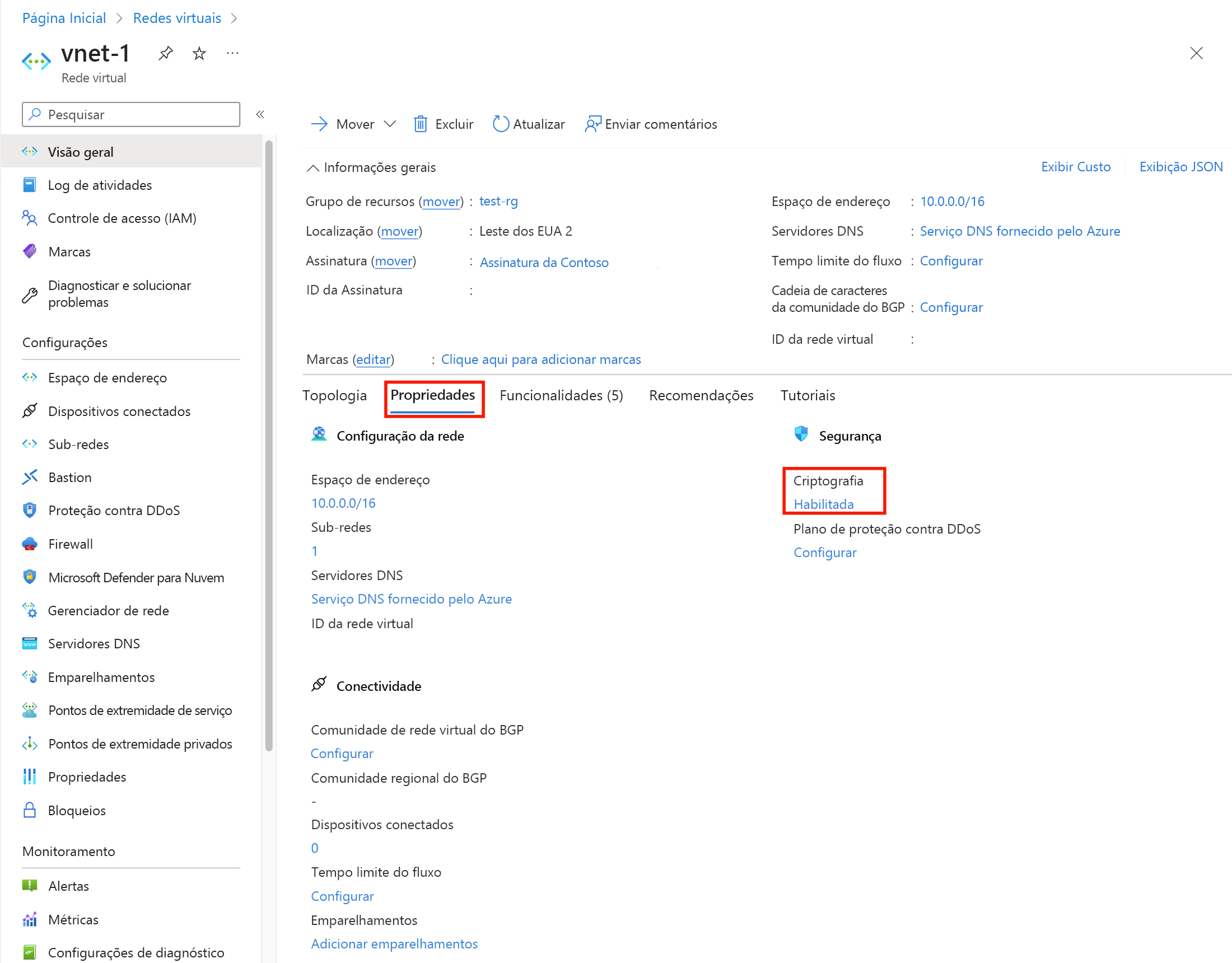 Captura de tela que mostra as propriedades da rede virtual com a opção Criptografia como Habilitada.