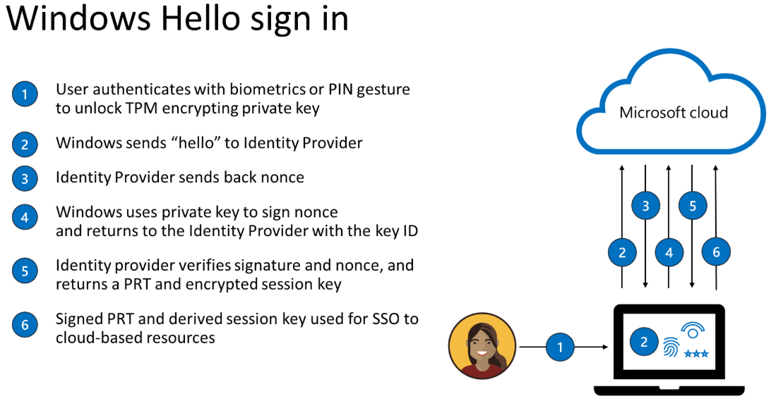 Entrada do Windows Hello.