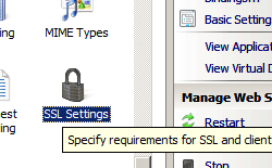 Screenshot shows the Default Web Site Home pane, with S S L Settings selected.