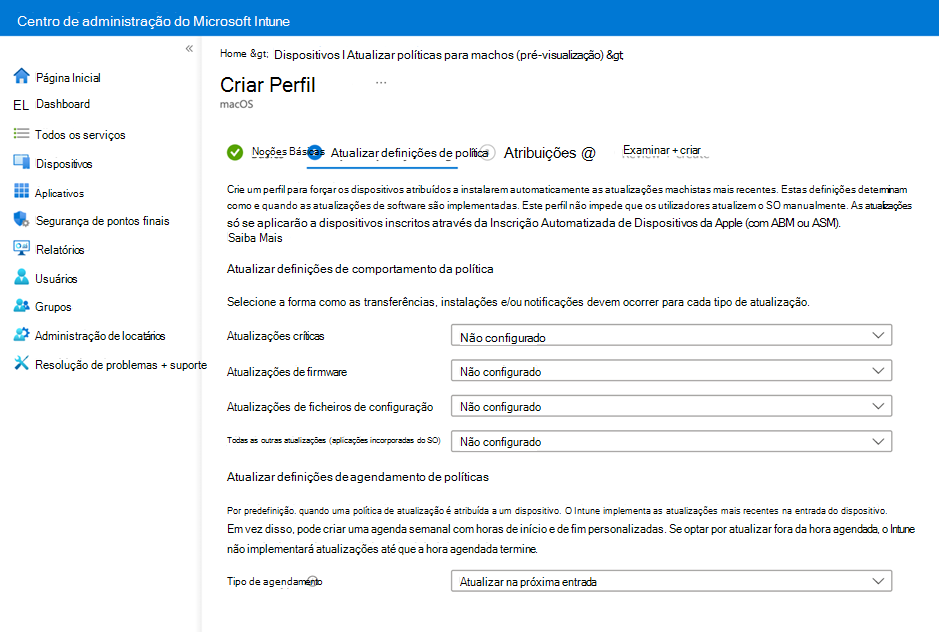 Captura de ecrã da página Definições da política de atualização.