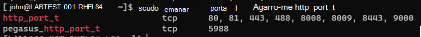 Captura de ecrã que apresenta os resultados da porta marcar.