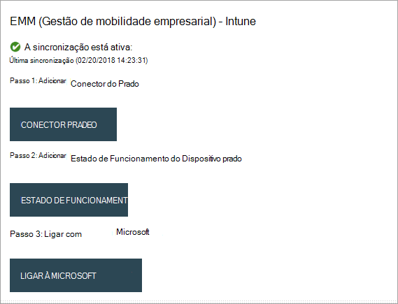 Captura de tela da janela Pradeo EMM do Intune