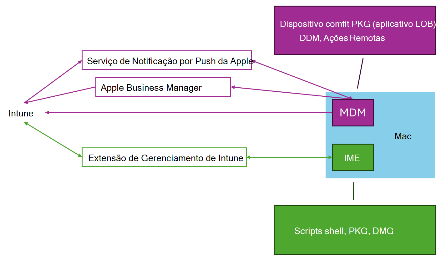 Um diagrama que mostra como a MDM do macOS e a Extensão Managemnt do Intune funcionam em conjunto para suportar a gestão de dispositivos macOS com Microsoft Intune