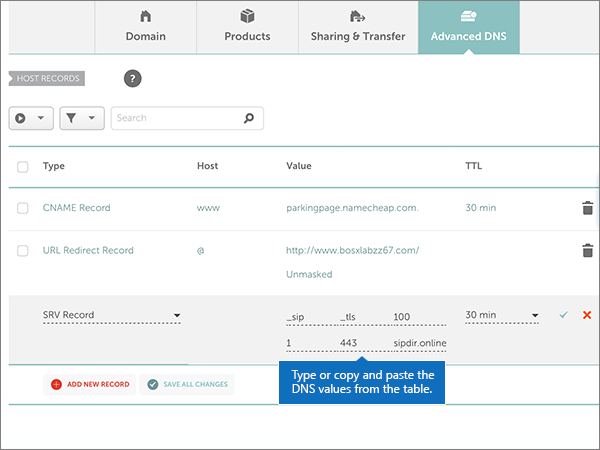 Copie e cole os valores da tabela para os registros SRV.