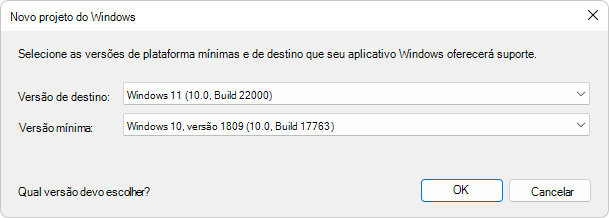 A caixa de diálogo 'Novo Projeto do Windows'