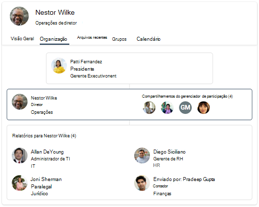 Captura de ecrã do organograma com três níveis diferentes